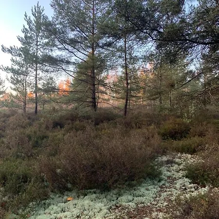 La Petite Maison Crépy-en-Valois